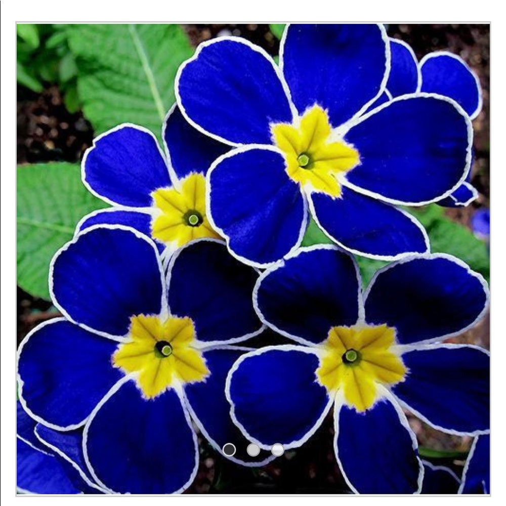 Love U Ring - image 1